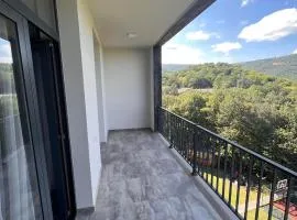 Apartament in Caxkadzor