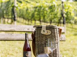 Monschein Weingut Straden, hotel v destinácii Straden