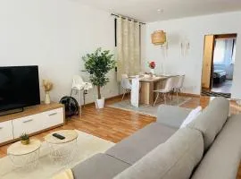 Entire Flat for you Schwetzingen,Mannheim & HD