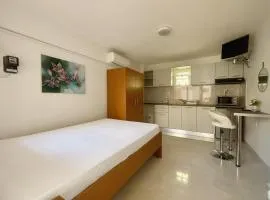 Athena studio
