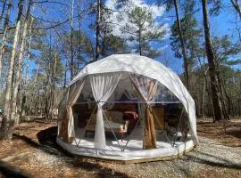 Beloved Cabin - Artistic Dome