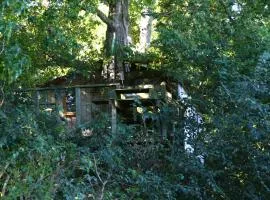 Cabane dans les arbres