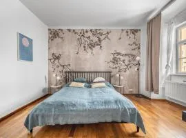 Cozy apartment in the Old town