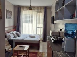 Girani Luxe Homes- Elegant comfy studio with A pool，Kiambu的附設泳池的飯店