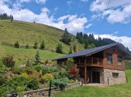 Ryan's Cabin