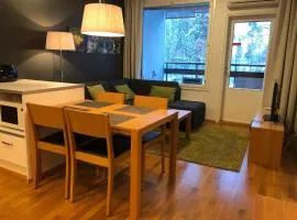 Vierumäki Chalets-apartment 45m2
