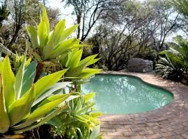 Enso Botanico 41 inside the Dinokeng Big 5 Game Reserve