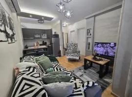 Apartmani Djuric Grey