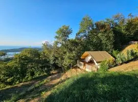 ForRest Garden - Where Nature Meets Comfort