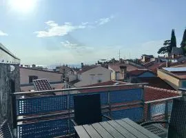 Rosa di Pirano con Terrazza