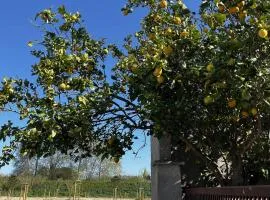 Maison de vacances moderne et pratique : WiFi, clim, parking et cour privée