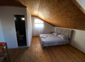 Uncle house