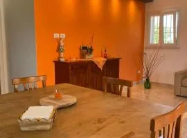 Ampio Appartamento immerso tra le Campagne Pontine