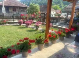 Sobe Guča