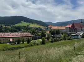 Das Steirer-Nest
