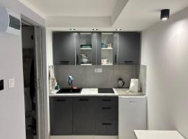 Apartament 1 w Kocierzu, hôtel à Kocierz Rychwałdzki