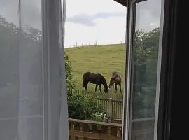 Ferienwohnung und DZ Wiesnblick