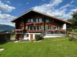 Alpenchalet Haldeli Ferienwohnung