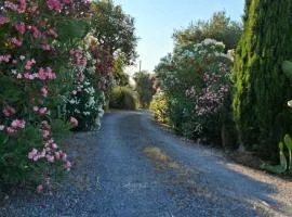 Agriturismo podere 329