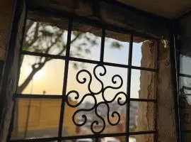 Z Elefanti