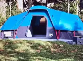 Camping - Park Władysławowo