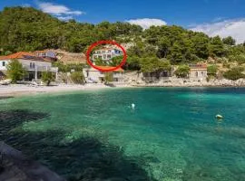 Seaside secluded apartments Cove Torac, Hvar - 8653