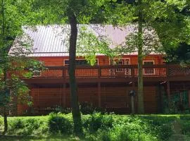 A Birds Eye View Cabin Rentals