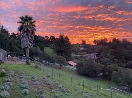 Lavandine Farm