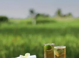 Villa telabah Ubud