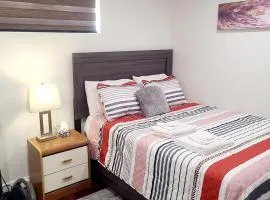 Two luxury bedrooms in the basement