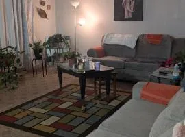 Corner Oasis