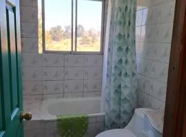 Cabaña el trebol
