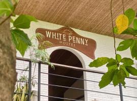 White Penny Hostel, hostel in Seminyak