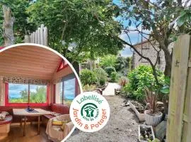 Anémérial et Capucine