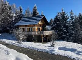 La Lézardière - Chalet spacieux près des pistes
