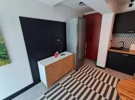 Kawalerka przy RONDZIE 2
