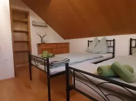 Hausveronika