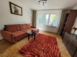 Willa Cynamon Garden