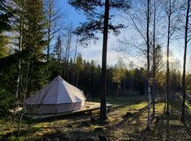 Luxe tent met uitzicht op het bos en met Sauna en hottub