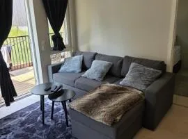 Two bedrooms Luxury apartment with free parking