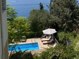 Blue corfu view