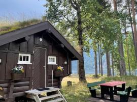 Bygland Fjordhytter: Bygland şehrinde bir villa