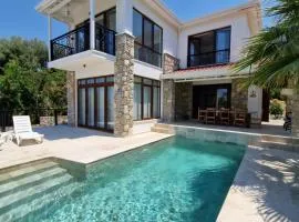 Villa Brise Marine - Villa with Sea View in Fethiye Faralya