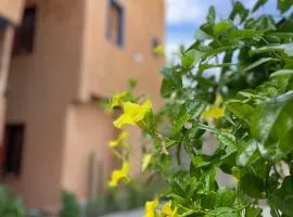 Casa Valhalla Choroni