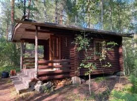 Metsäsydän mökki 2 Öhkömönkijäinen