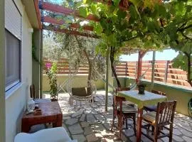 Green Olive Studios