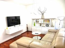 Luxury apartment Podgorica