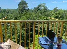 Poti Apartment near National Park and Maltakva