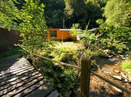 Cabana Padurea Cerbilor，Moara de Pădure的飯店