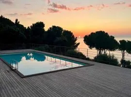 Pini, a Paradise Oasis